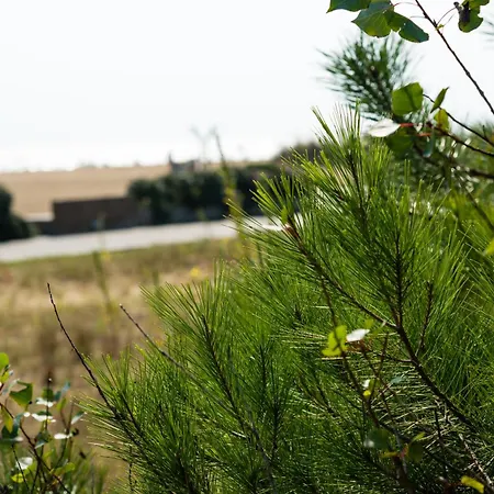 Appartamento Residenza Le Acacie *