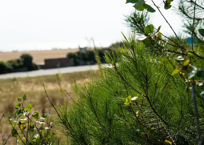 アパート Residenza Le Acacie *